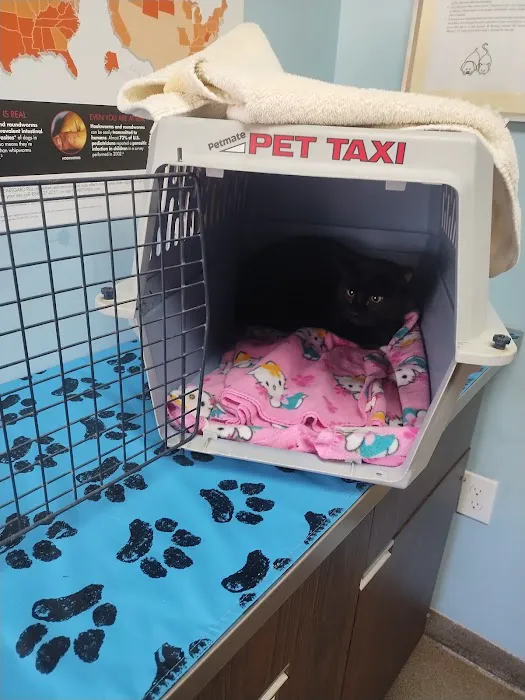 Mays Landing Veterinary Hospital, LLC 12