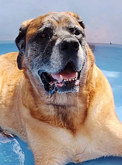Mays Landing Veterinary Hospital, LLC 12