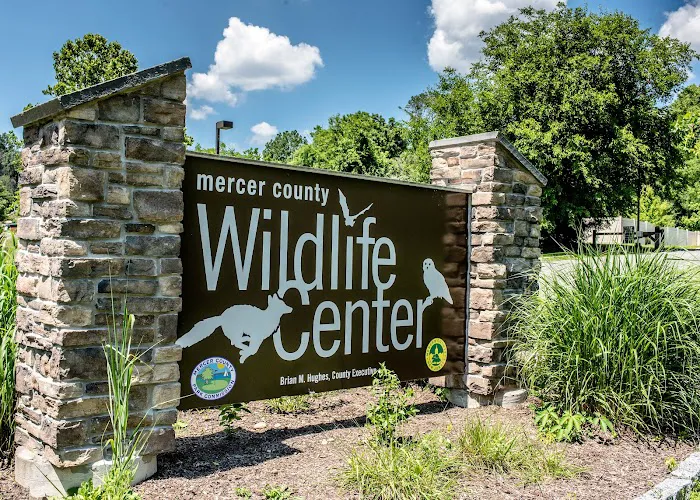 Wildlife Center Friends 1