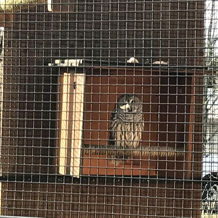 Wildlife Center Friends 2