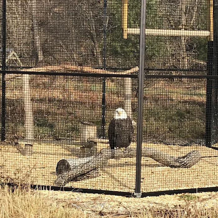 Wildlife Center Friends 4