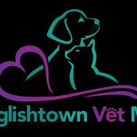 Englishtown Vet MD ico