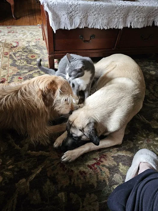 St. Francis Animal Clinic 12