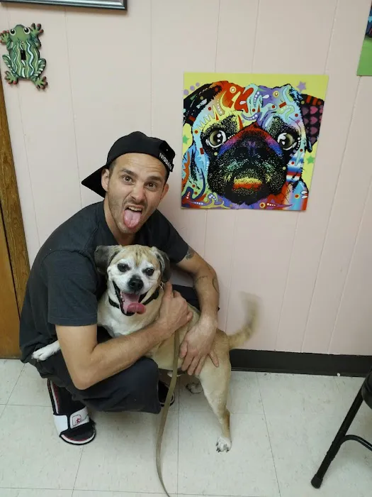 Town & Country Veterinary Services 12