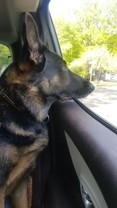 Town & Country Veterinary Services 12