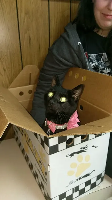 Town & Country Veterinary Services 12