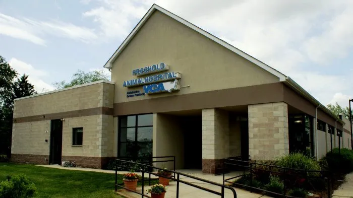Freehold Animal Hospital 12