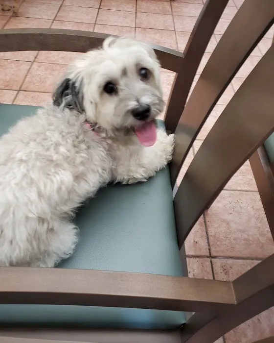 Freehold Animal Hospital 12