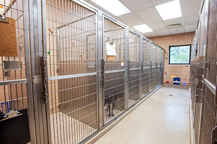 Freehold Animal Hospital 12