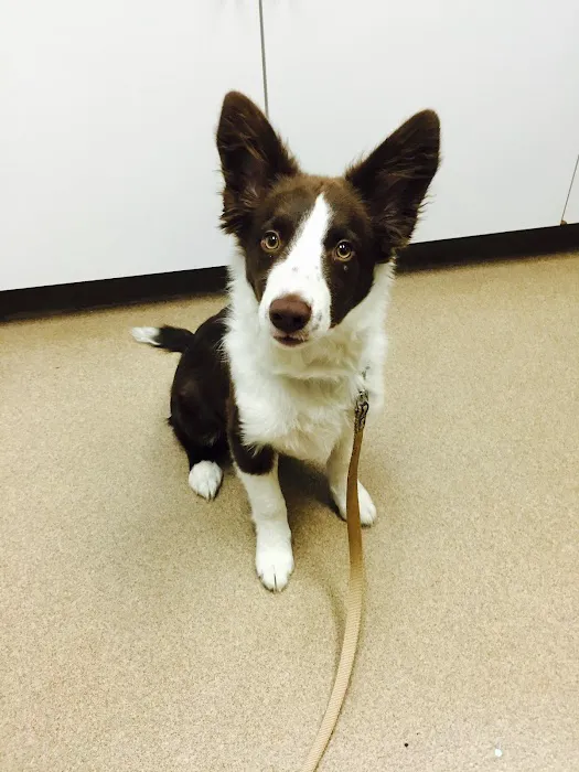 Freehold Animal Hospital 12