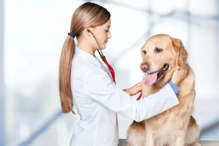 Preserdal Medical