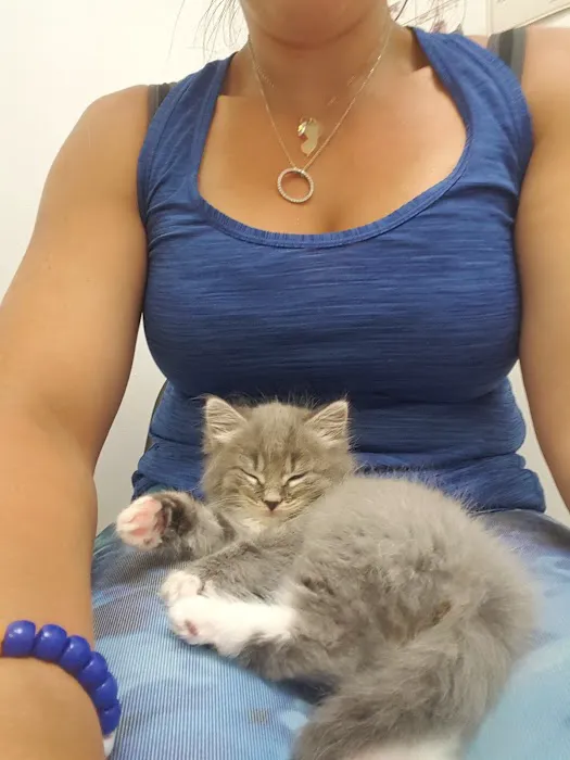 Jamesburg Veterinary Hospital 4