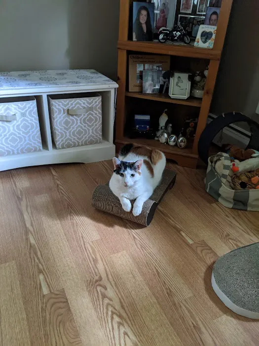 Jamesburg Veterinary Hospital 6