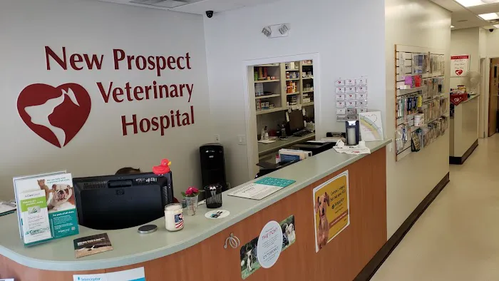 VCA New Prospect Animal Hospital 12