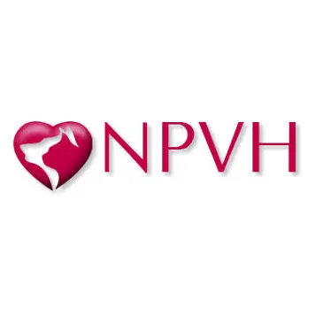 VCA New Prospect Animal Hospital 12