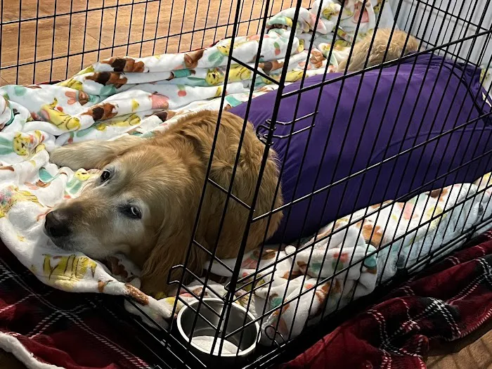 Howell Animal Hospital Surgical and Diagnostic Center 3