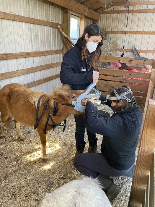 Coastal Elite Veterinary Services 3