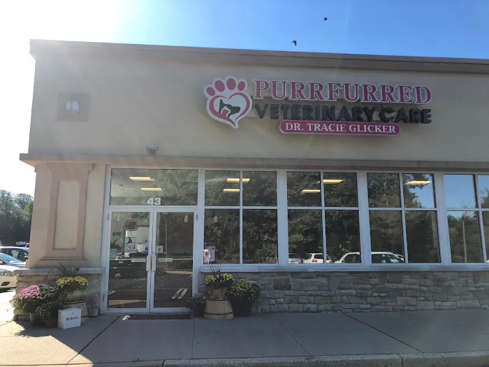 Purrfurred Veterinary Care with Dr. Tracie Glicker 12