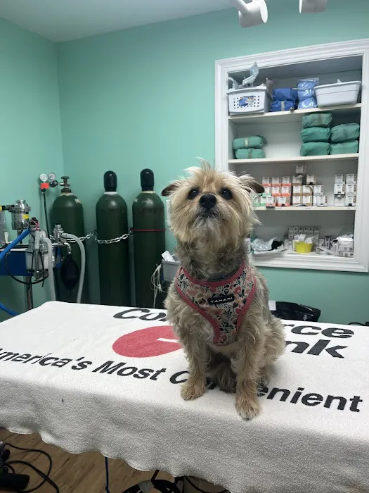 Central Monmouth Animal Hospital : Neil Bloom DVM 2
