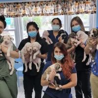Central Monmouth Animal Hospital : Neil Bloom DVM ico