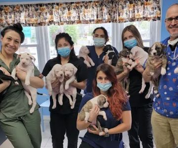 Central Monmouth Animal Hospital : Neil Bloom DVM