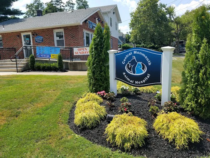 Central Monmouth Animal Hospital : Neil Bloom DVM 3
