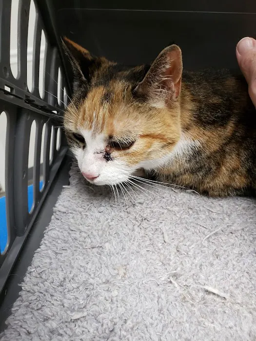 Central Monmouth Animal Hospital : Neil Bloom DVM 4