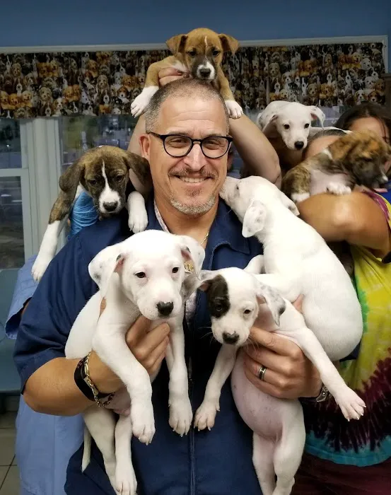 Central Monmouth Animal Hospital : Neil Bloom DVM 6