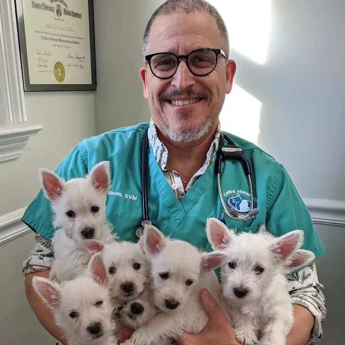 Central Monmouth Animal Hospital : Neil Bloom DVM 7