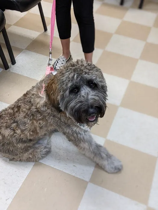 Central Jersey Animal Hospital 1