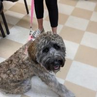 Central Jersey Animal Hospital ico