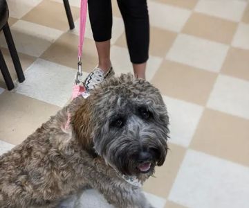 Central Jersey Animal Hospital