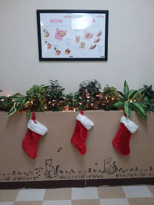 Central Jersey Animal Hospital 4