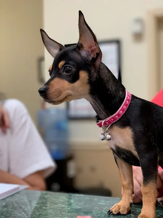 Central Jersey Animal Hospital 7