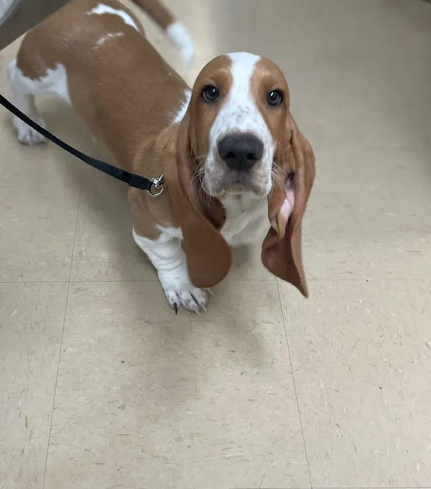 Central Jersey Animal Hospital 8