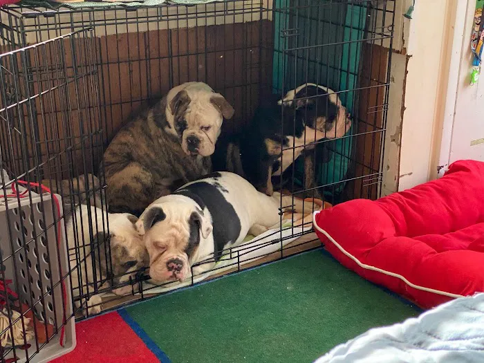 Central Jersey Animal Hospital 10
