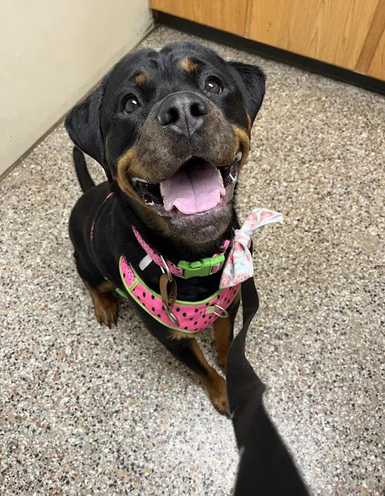 Hopewell Veterinary Group Inc 8