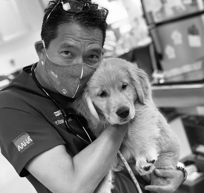 Progressive Veterinary Care 3