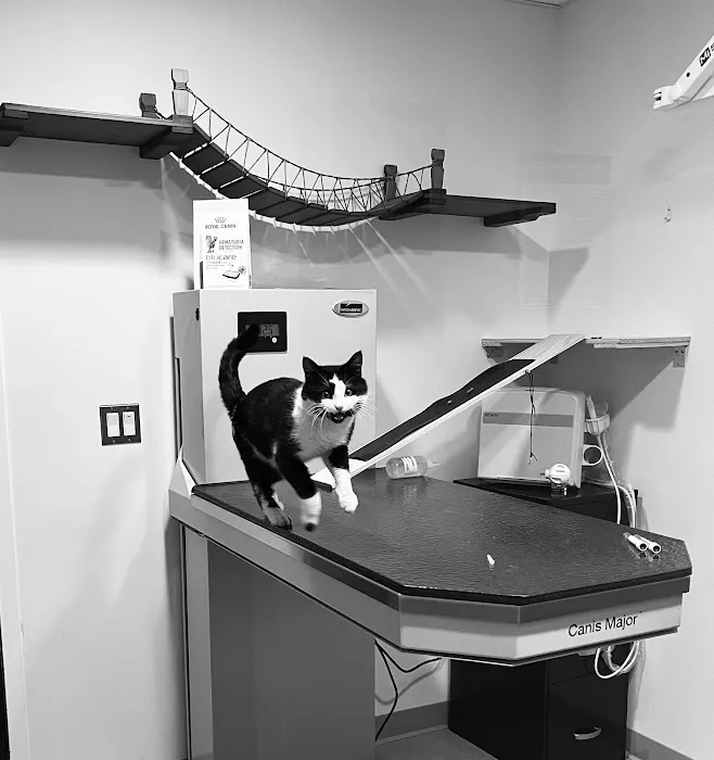 Progressive Veterinary Care 4