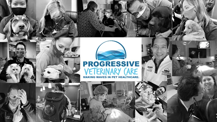 Progressive Veterinary Care 6