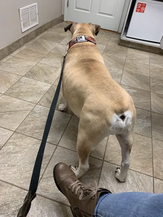 South Brunswick Animal Hospital 2