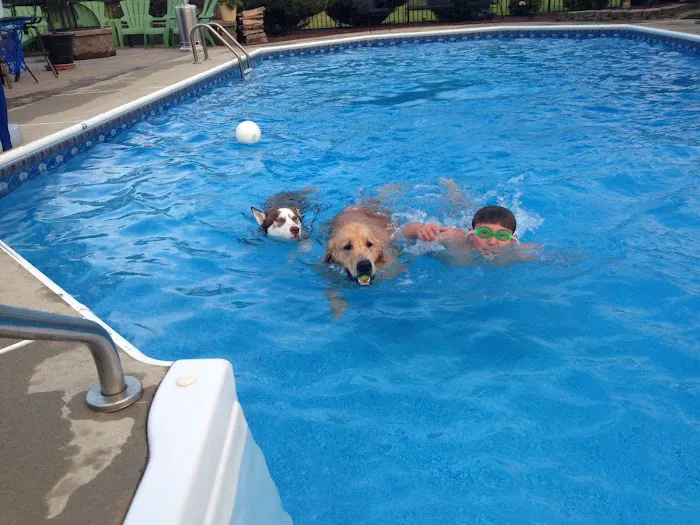 South Brunswick Animal Hospital 7