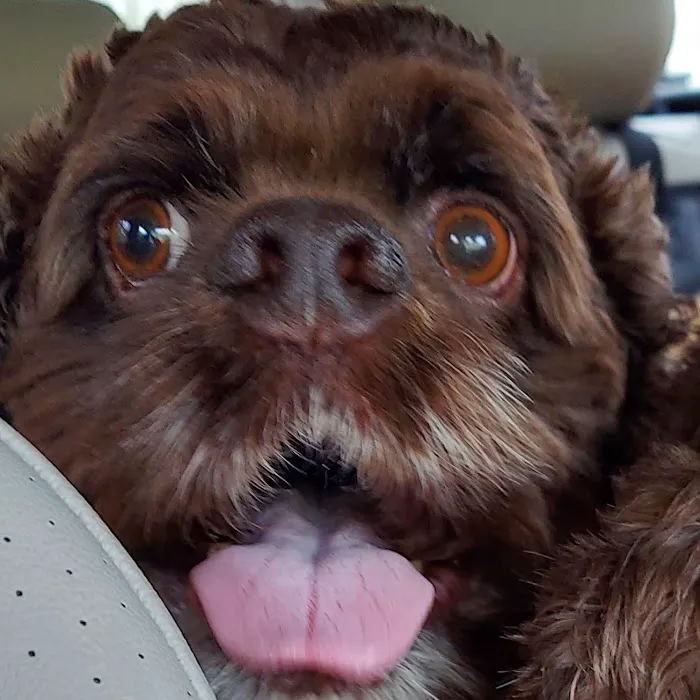South Brunswick Animal Hospital 9