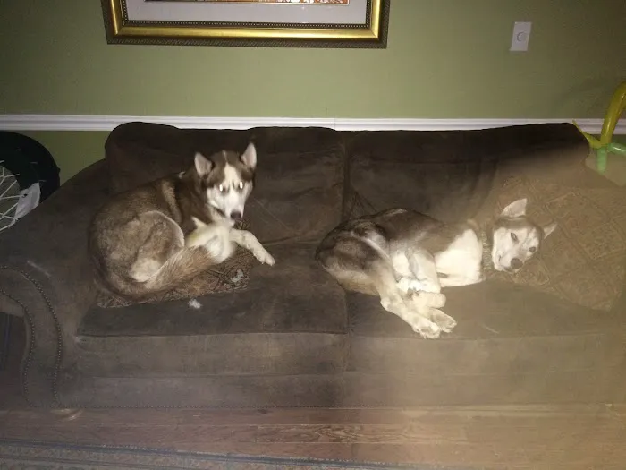 South Brunswick Animal Hospital 8
