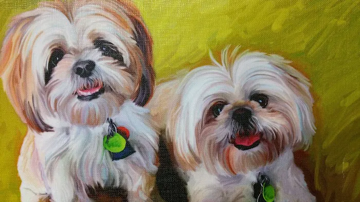 South Brunswick Animal Hospital 10