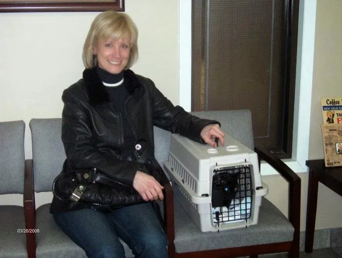 Edgebrook Animal Hospital 4