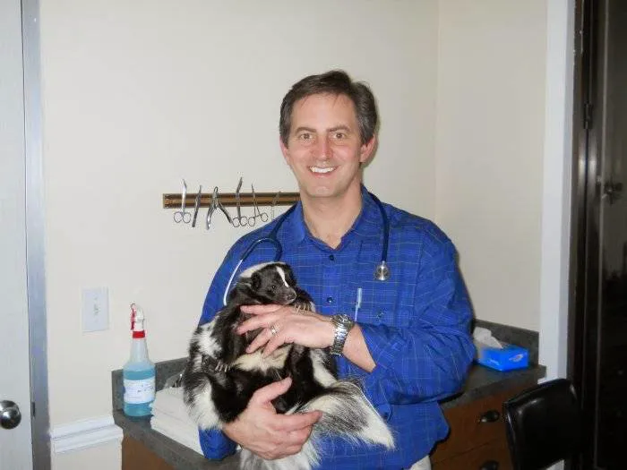 Edgebrook Animal Hospital 7