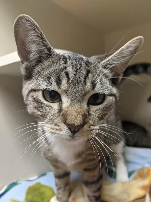 Edgebrook Animal Hospital 9