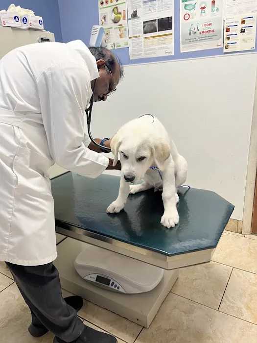Faith Veterinary Clinic 4
