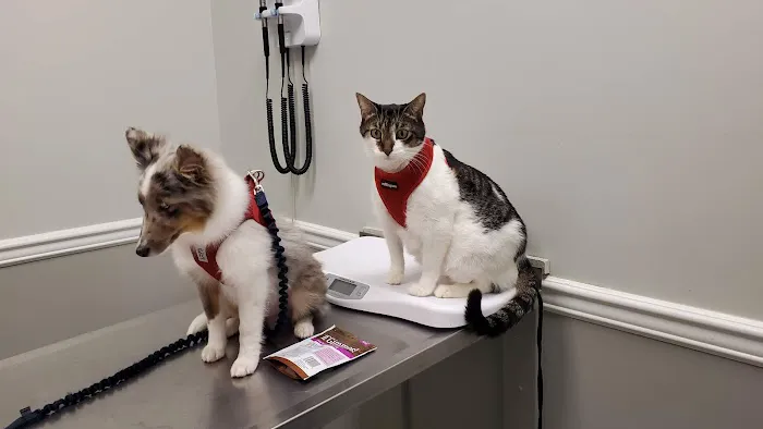 Country Animal Hospital 10